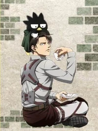 Levi Ackerman 