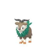 Skipper Skiddo 