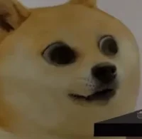 Squillian Lil Doge