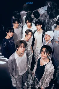 StrayKids SAW