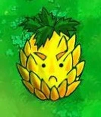 Big pineapple 