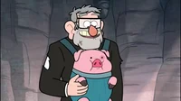 Stanley Pines