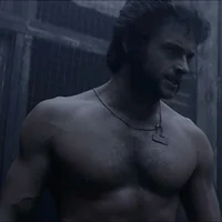 Wolverine - Logan