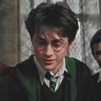 -Harry in Slytherin-
