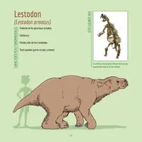 Prepotherium