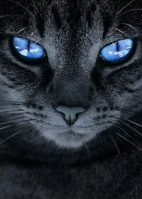 Elemental Cats OCGen