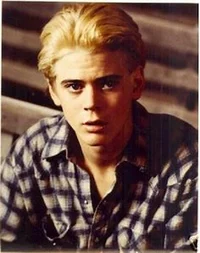 Ponyboy Curtis