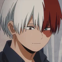 Shoto Todoroki 