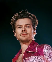 Harry Styles 