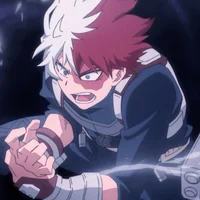 Shoto Todoroki