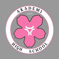 Akademi High school