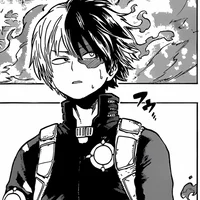 Shoto Todoroki