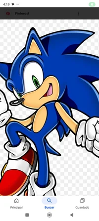 Sonic the hedgehog