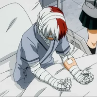 Shoto Todoroki 