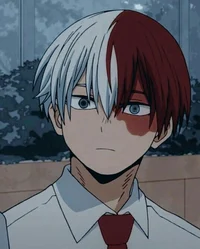 Shoto Todoroki 