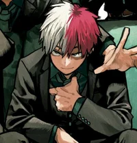 Shoto Todoroki