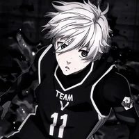 Seishiro Nagi