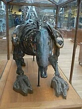 Scelidotherium