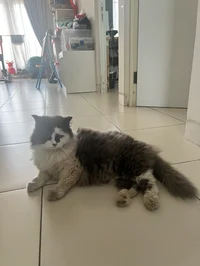 A trio in a familyyy