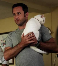 Steve McGarrett
