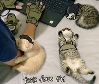 COD - Task Force 141