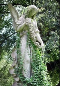 pond angel 