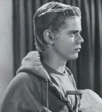 Ponyboy Curtis