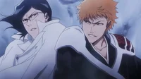 Ichigo vs Uryu