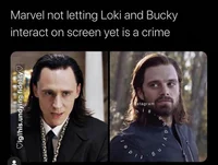 Loki bucky