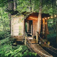 Treehouse 