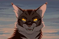 TigerStar