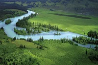 Sanemi Tomioka Iguro