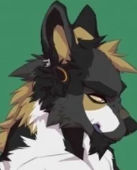 Jax