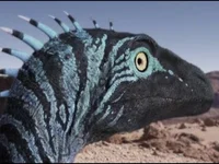 Eoraptor