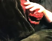 Trimming-Vita Carnis