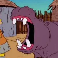 Safari Hippo