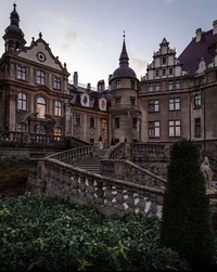 Magic academy erance