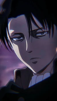 Levi Ackerman 