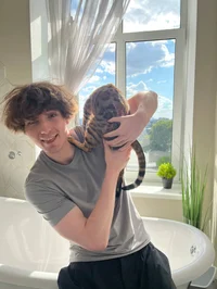 danonflex