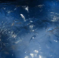 00 - UPDATES - PLANS