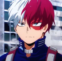 Shoto Todoroki 