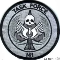 Task Force 141