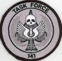 Task Force 141