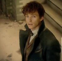 Newt Scamander
