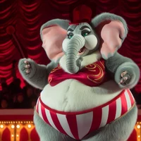 Elephant Volunter TF