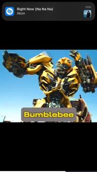 bumblebee