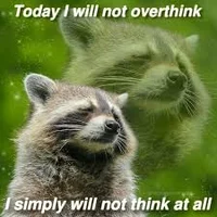 Ratio and Aventurine