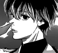 TG HAISE