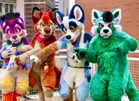 Furry school