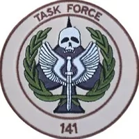Task Force 141